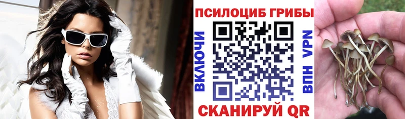 Псилоцибиновые грибы мухоморы Волхов